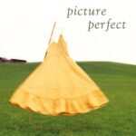Picture Perfect
